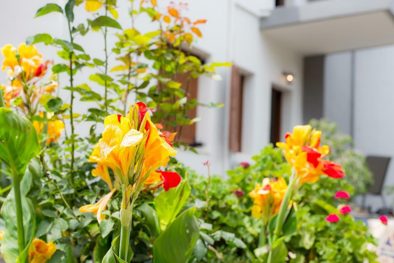Stellar Apartments I Platanias  Exterior photo
